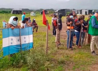 El Cohep pide al gobierno lanzar un plan contra la invasión de tierras en el país