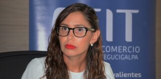 El gobierno debe prestar atención al incremento de la extorsión para evitar el cierre de negocios, dice la directora de la CCIT