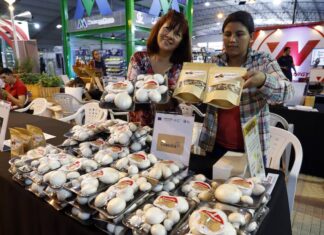 Mipymes iberoamericanas enfrentan inflación como mayor reto pero con optimismo