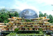 Las ZEDES son inconstitucionales y el gobierno no debe permitir chantajes, señala economista