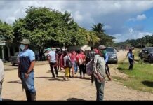 Fondo Ganadero denuncia invasión de tierras en finca productora en Tela, Atlántida