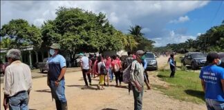 Fondo Ganadero denuncia invasión de tierras en finca productora en Tela, Atlántida