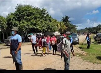 Fondo Ganadero denuncia invasión de tierras en finca productora en Tela, Atlántida