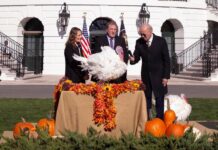 Joe Biden indulta a dos pavos por Acción de Gracias y bromea sobre las elecciones