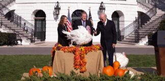 Joe Biden indulta a dos pavos por Acción de Gracias y bromea sobre las elecciones