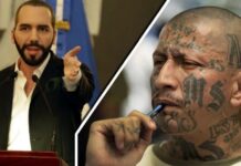 Bukele dice que organismos internacionales “bloquean” el trabajo contra las maras