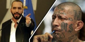 Bukele dice que organismos internacionales “bloquean” el trabajo contra las maras