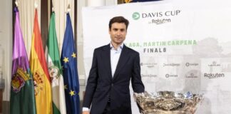 La Copa Davis impulsará hasta el 85 % la ocupación hotelera en Málaga