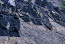 En operativo realizado en la aldea El Lolo de Tegucigalpa, hallan municiones e indumentaria militar