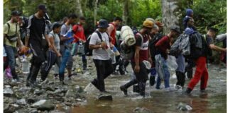 Panamá afirma que sube tránsito de migrantes irregulares de Haití y Ecuador