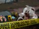 Representante de la ACNUR señala que hasta la fecha se registran 177 muertes violentas de niños en el país