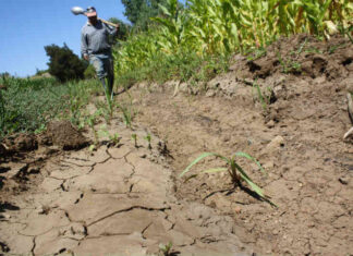 Predicen que La Niña prolongue enfriamiento del clima hasta bien entrado 2023