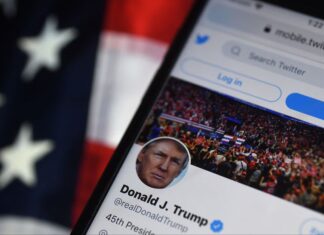 Elon Musk restablece la cuenta de Donald Trump en Twitter tras encuesta a favor