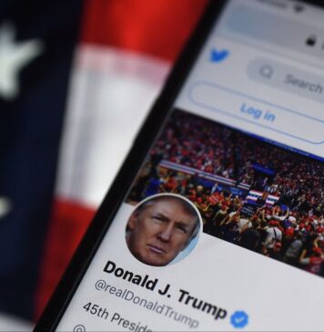 Elon Musk restablece la cuenta de Donald Trump en Twitter tras encuesta a favor