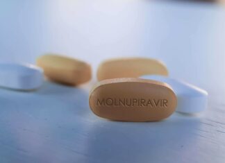 El antiviral Molnupiravir no reduce la mortalidad por Covid-19, pero acelera recuperación