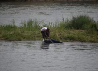 Muere ahogado un niño de 9 años en Lago de Nicaragua; otro está desaparecido