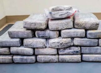 Incautadas en Ecuador 1,6 toneladas de cocaína con destino a Países Bajos