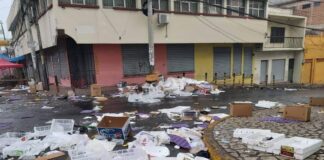 Alrededor de 310 mil toneladas de basura serán recolectadas este 2022, según la AMDC