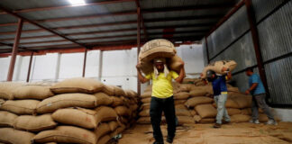 Exportaciones de café hondureño bajan 51 % en más de 2 meses del ciclo actual
