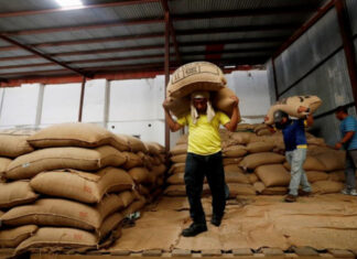 Exportaciones de café hondureño bajan 51 % en más de 2 meses del ciclo actual