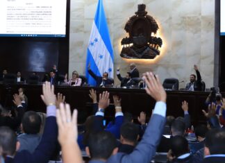 Señalan que el Congreso Nacional no aborda en su agenda los grandes problemas que enfrenta el país