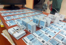 Más de 3,500 licencias están sin reclamar en la DNVT de Tegucigalpa