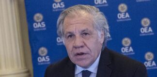 La OEA cancela informe sobre Perú tras la destitución de Castillo
