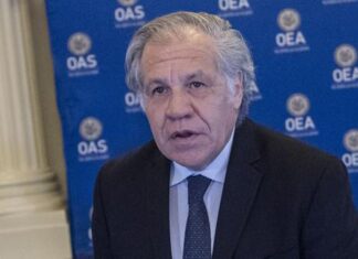 La OEA cancela informe sobre Perú tras la destitución de Castillo