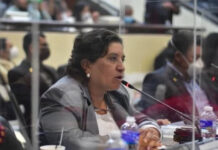 Ofrecer un bono de 100 mil lempiras para el voto de la CSJ es una ofensa para los hondureños, dice la diputada Suyapa Figueroa