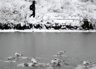 Mueren tres niños en Inglaterra tras ser rescatados de un lago congelado
