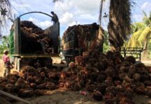 El Gobierno aún no encuentra una solución definitiva al conflicto de tierras en el Bajo Aguán