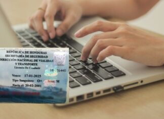 La Dirección Nacional de Vialidad y Transporte atenderá el 24 y 31 hasta mediodía