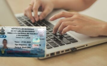 La Dirección Nacional de Vialidad y Transporte atenderá el 24 y 31 hasta mediodía