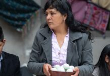 Esposa de Pedro Castillo abandona Perú con destino a México junto al embajador