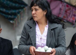 Esposa de Pedro Castillo abandona Perú con destino a México junto al embajador