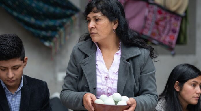 Esposa de Pedro Castillo abandona Perú con destino a México junto al embajador