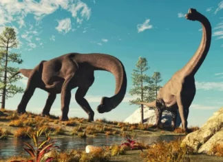 El cambio climático fue la clave en el ascenso de los dinosaurios