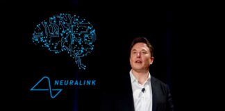 Elon Musk busca implantar chips cerebrales en humanos dentro de seis meses