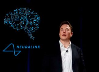 Elon Musk busca implantar chips cerebrales en humanos dentro de seis meses