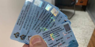 Más de 163 mil licencias de conducir fueron decomisadas durante el 2022