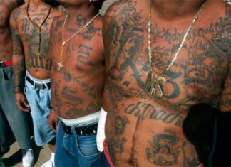Más de 570 miembros de maras y pandillas detenidos durante estado de excepción en Honduras