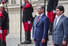 Petro pide a la CIDH medidas cautelares de protección para Pedro Castillo