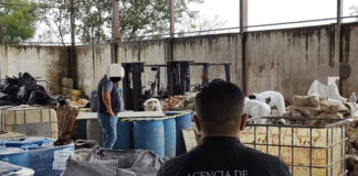 Ministerio Público destruye precursores químicos decomisados en acciones antidrogas