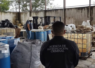 Ministerio Público destruye precursores químicos decomisados en acciones antidrogas