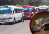 Extorsionadores también cobran el aguinaldo a los transportistas en Honduras