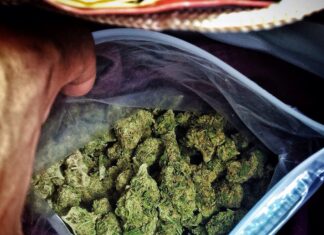 Aumenta drásticamente el número de niños que ingieren cannabis por error en Estados Unidos
