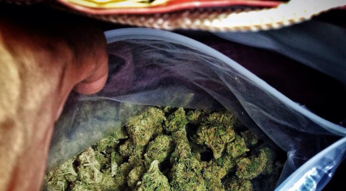 Aumenta drásticamente el número de niños que ingieren cannabis por error en Estados Unidos