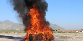 Incineran más de 1000 libras de droga incautada en Colón