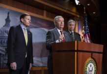 Senadores de EE. UU. piden a Alemania mandar tanques a Ucrania «cuanto antes»