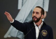 Nayib Bukele señala que medios de comunicación y analistas «mienten descaradamente»